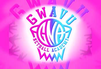 papkrast_group_client_gwavu_netball_academy