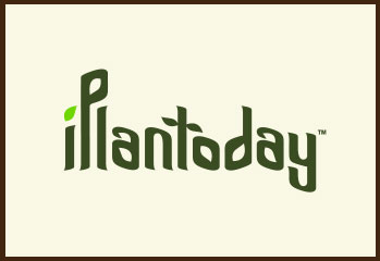 papkrast_group_client_iplantoday