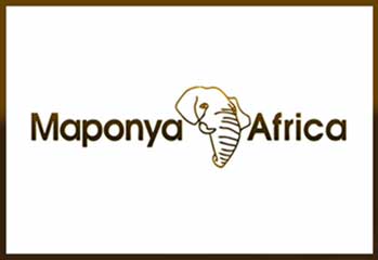 papkrast_group_client_maponya_africa